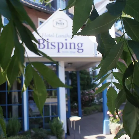 Bisping 3*