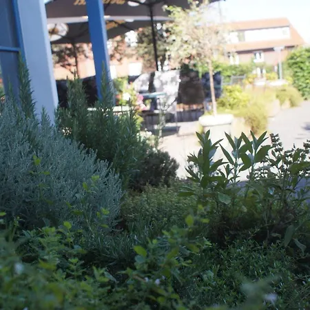 Bisping Hotel Everswinkel